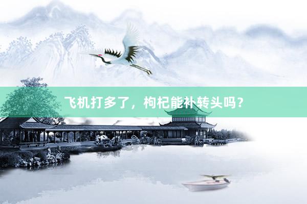 飞机打多了，枸杞能补转头吗？